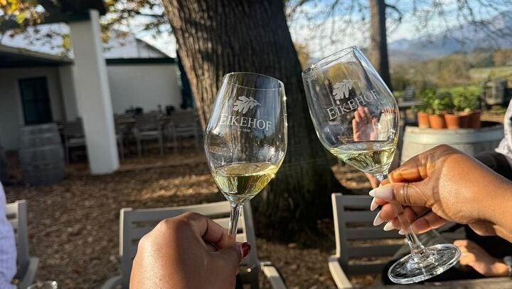 Half-Day Stellenbosch Wine Tasting and Cape Dutch Town Orientation from Cape Town (4/5)