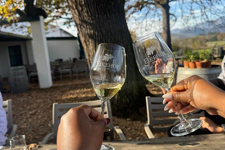 Half-Day Stellenbosch Wine Tasting and Cape Dutch Town Orientation from Cape Town (4/5)