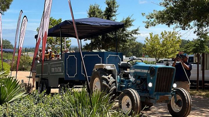Stellenbosch Wine Tractor: Hop-On Hop-Off Tasting Tour of Golden Triangle Farms (4/7)