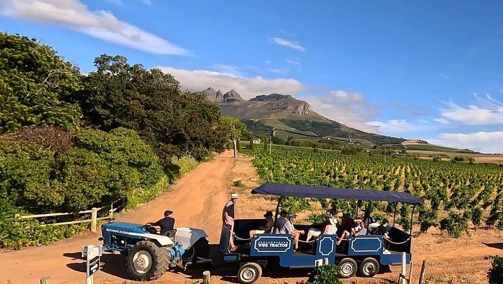 Stellenbosch Wine Tractor: Hop-On Hop-Off Tasting Tour of Golden Triangle Farms (1/7)