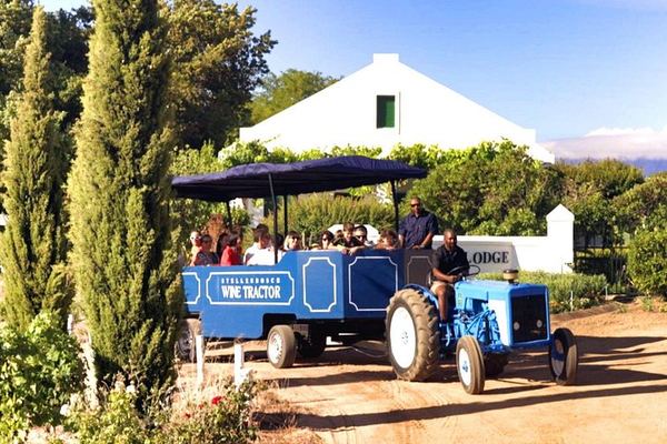 Stellenbosch Wine Tractor: Hop-On Hop-Off Tasting Tour of Golden Triangle Farms