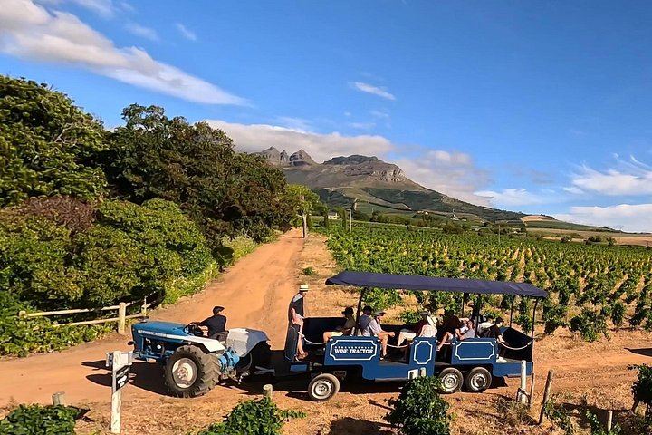 Stellenbosch Wine Tractor: Hop-On Hop-Off Tasting Tour of Golden Triangle Farms (1/7)