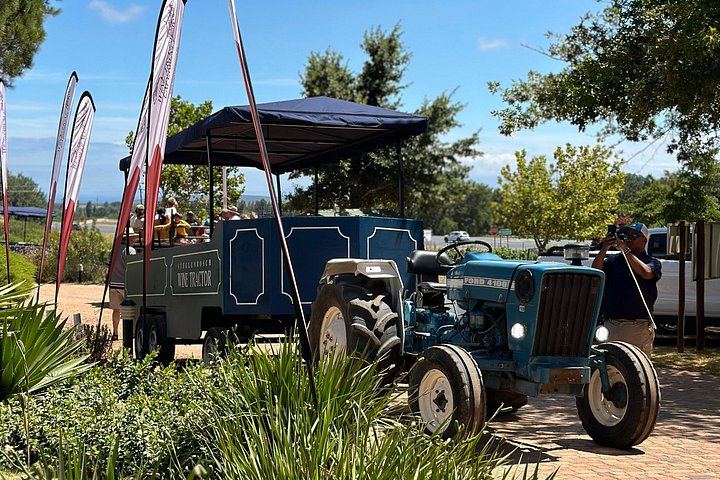 Stellenbosch Wine Tractor: Hop-On Hop-Off Tasting Tour of Golden Triangle Farms (4/7)