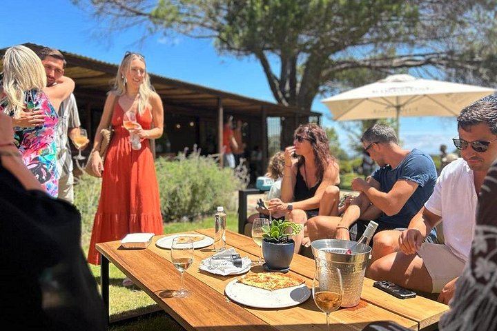 Stellenbosch Wine Tractor: Hop-On Hop-Off Tasting Tour of Golden Triangle Farms (6/7)