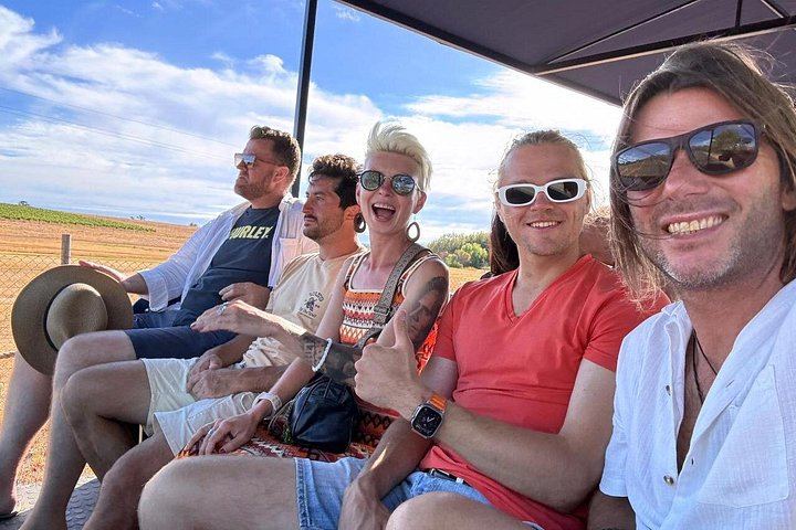 Stellenbosch Wine Tractor: Hop-On Hop-Off Tasting Tour of Golden Triangle Farms (5/7)