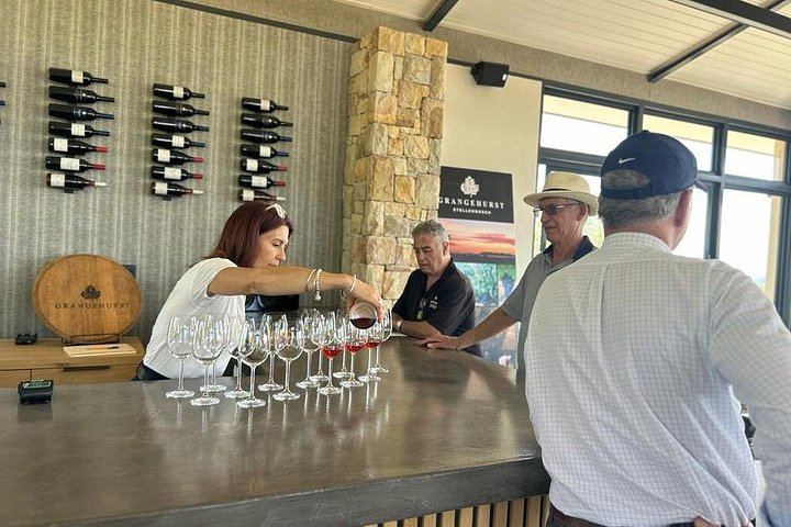 Stellenbosch Wine Tractor: Hop-On Hop-Off Tasting Tour of Golden Triangle Farms (7/7)