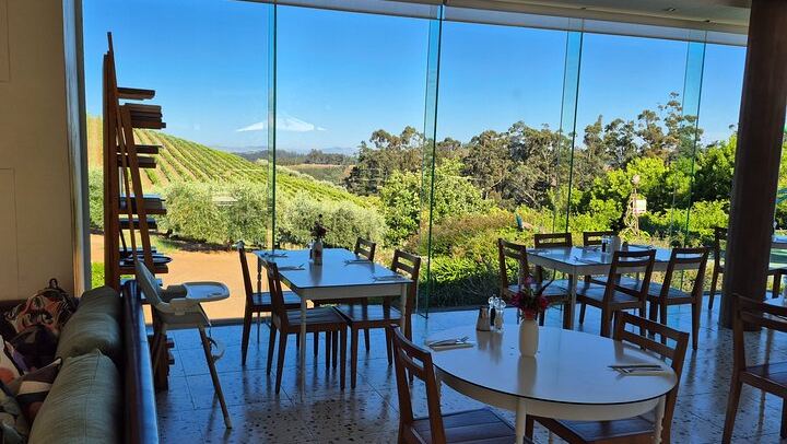 Stellenbosch Guided Wine Walk: 8 Tastings at Tokara, Thelema and Zorgvliet (4/11)