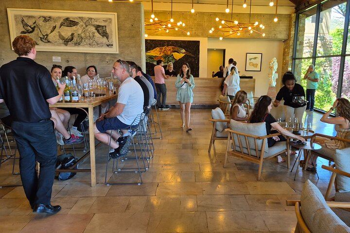 Stellenbosch Guided Wine Walk: 8 Tastings at Tokara, Thelema and Zorgvliet (1/11)