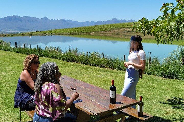 Stellenbosch Winelands Day with 3 Family-Owned Wineries and Coffee Stop (1/6)