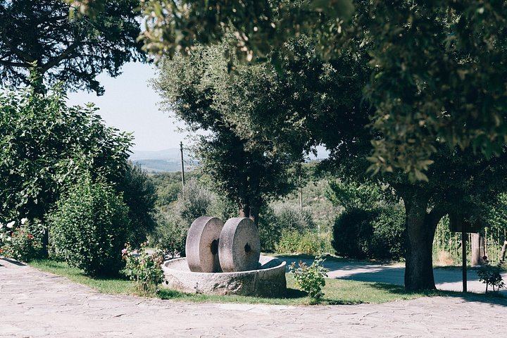 Private Land Rover Defender Wine Tour from Castellina in Chianti, Strade Bianche (9/12)