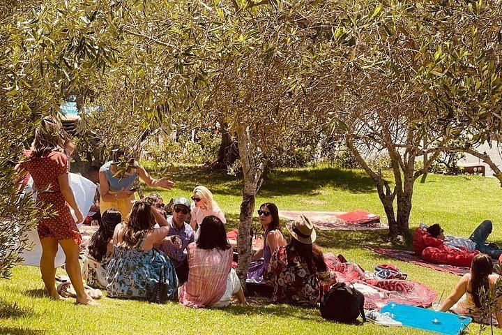 Waiheke Island Wine Tour from Auckland: 3 Vineyards and Beachfront Lunch (7/12)