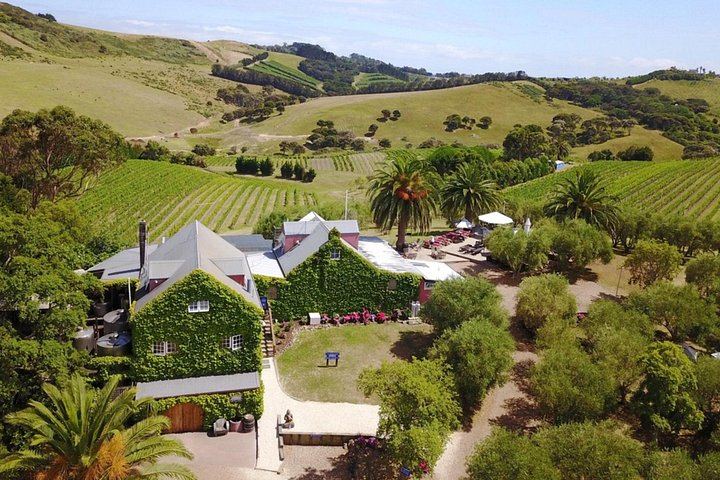 Waiheke Island Wine Tour from Auckland: 3 Vineyards and Beachfront Lunch (12/12)