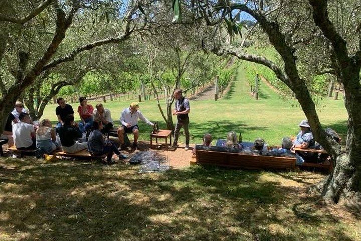 Waiheke Island Wine Tour from Auckland: 3 Vineyards and Beachfront Lunch (10/12)