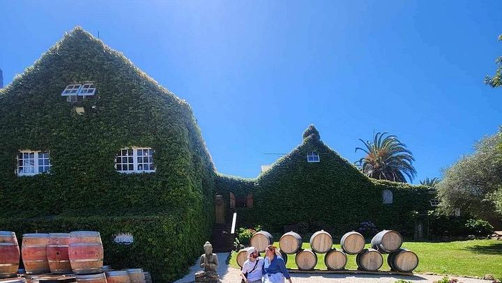 Waiheke Island Wine Tour from Auckland: 3 Vineyards and Beachfront Lunch (3/12)