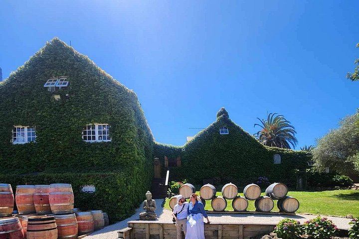 Waiheke Island Wine Tour from Auckland: 3 Vineyards and Beachfront Lunch (3/12)