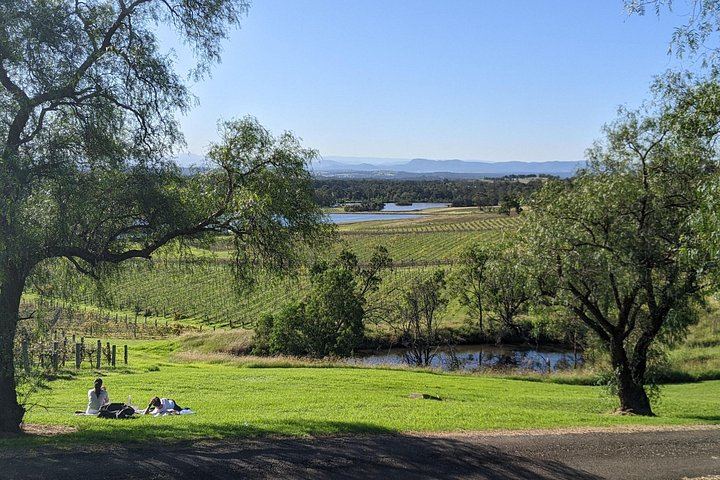 Owner-Led Hunter Valley Day Tour from Sydney: Wine, Cheese, Chocolate and Coffee Stop (6/12)