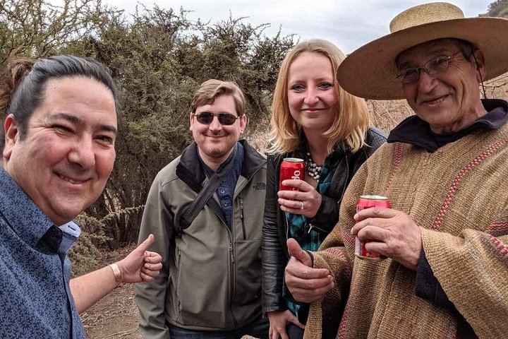 Private Horseback Wine Tour from Santiago: Organic Wine and Country Grill (9/12)