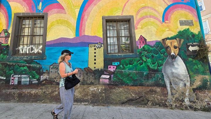 Valparaíso Street Art Downhill Walk and Casablanca Wines, Max 8 Guests from Santiago (1/12)