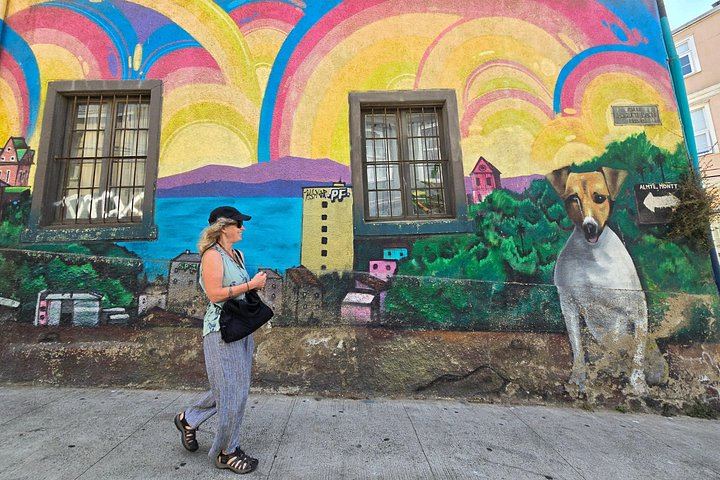 Valparaíso Street Art Downhill Walk and Casablanca Wines, Max 8 Guests from Santiago (1/12)