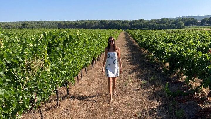 Private Full-Day Provence Wine Tour with Hotel Pickup from Marseille, Aix or Avignon (1/10)