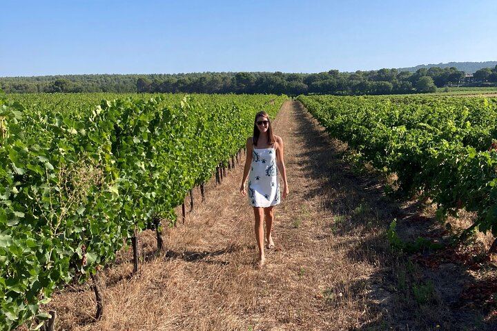 Private Full-Day Provence Wine Tour with Hotel Pickup from Marseille, Aix or Avignon (1/10)