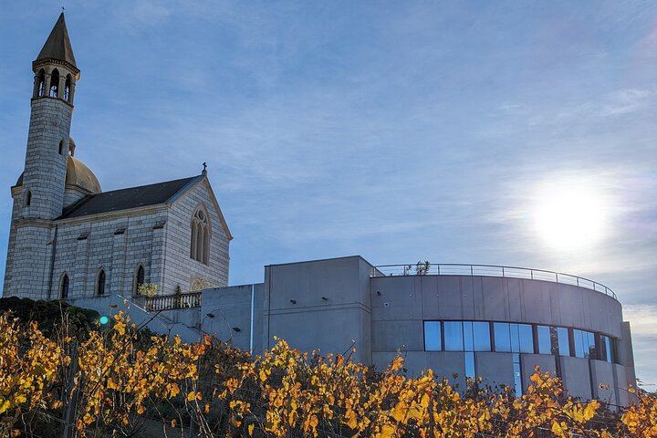 Nice Vineyard Visit and Winery Tour with Sommelier, 3 Options from Group to Private (10/12)