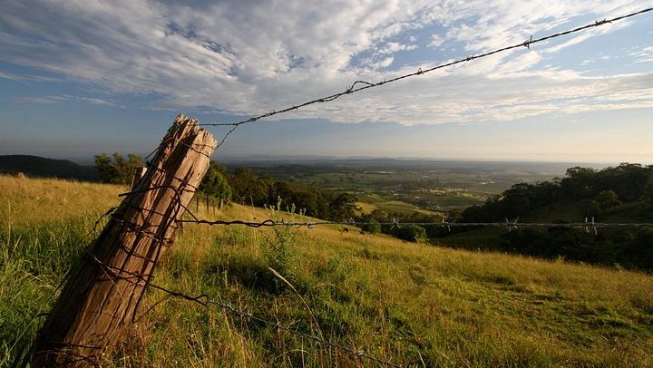 Private Full-Day Hunter Valley Wine Tour for Up to 4 Guests with Local Guide Clive (4/6)