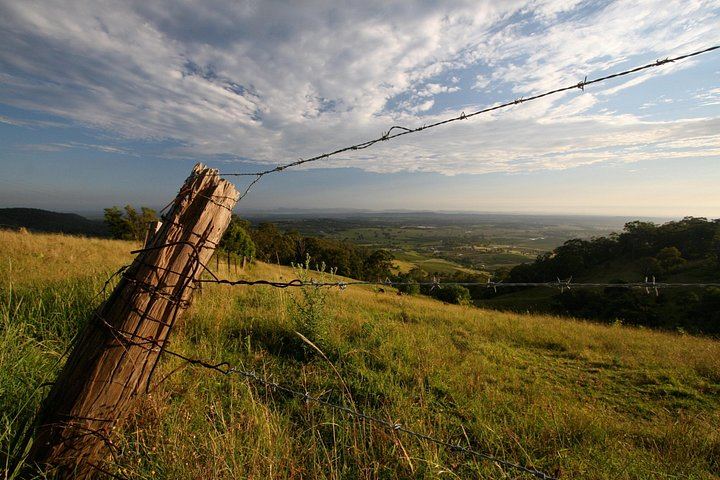 Private Full-Day Hunter Valley Wine Tour for Up to 4 Guests with Local Guide Clive (4/6)