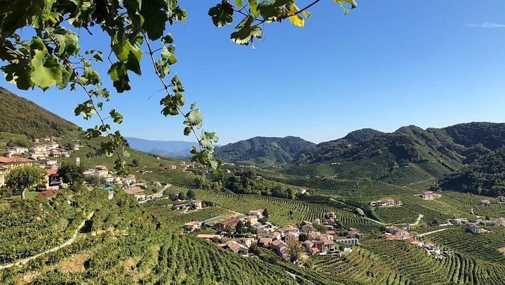 Prosecco Hills Day Trip from Venice by Train: Two Wineries and Family Osteria Lunch (3/9)