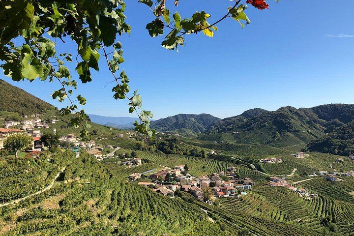 Prosecco Hills Day Trip from Venice by Train: Two Wineries and Family Osteria Lunch (3/9)