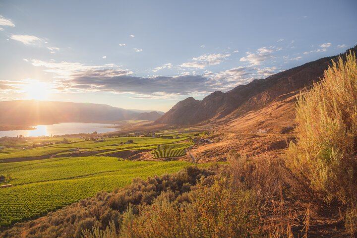 Osoyoos and Oliver Half-Day Wine Tour with Sip Happens, Tastings and Gratuity Included (1/12)