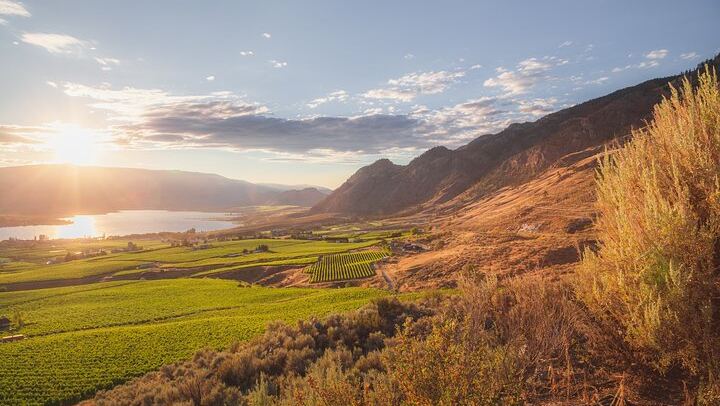Osoyoos and Oliver Half-Day Wine Tour with Sip Happens, Tastings and Gratuity Included (1/12)