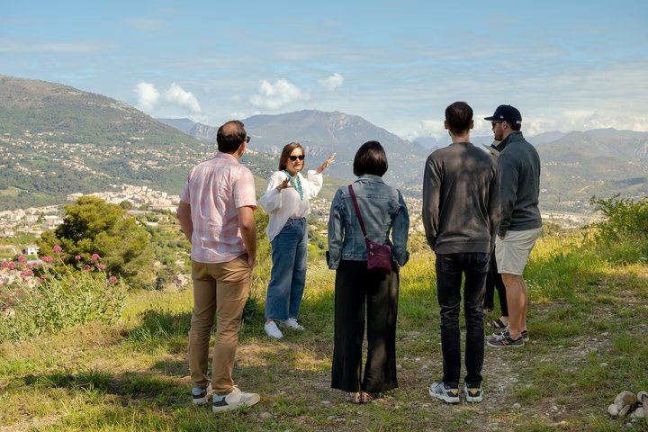 Nice Vineyard Visit and Winery Tour with Sommelier, 3 Options from Group to Private (5/12)