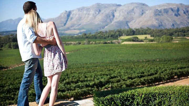Private Full-Day Stellenbosch Wine Tour with Pickup: Hartenberg to L'Avenir (4/6)