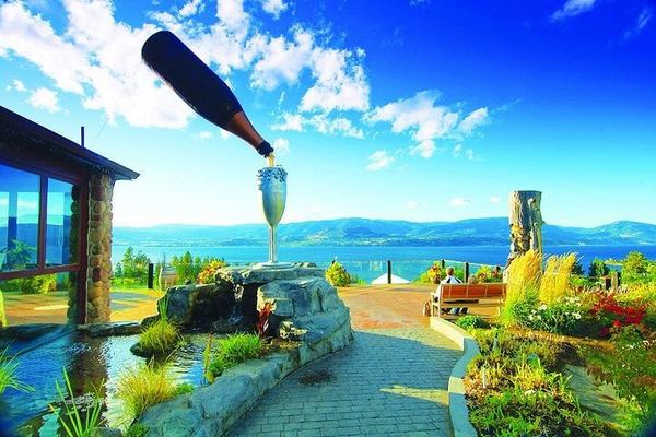 Kelowna or West Kelowna Afternoon Wine Tour by Mercedes Van, Up to 4 Hours