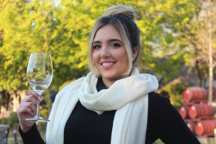 Alyan Vineyard Sunset Experience: Six Wines, Tasting Snacks and Rustic Dinner (8/12)
