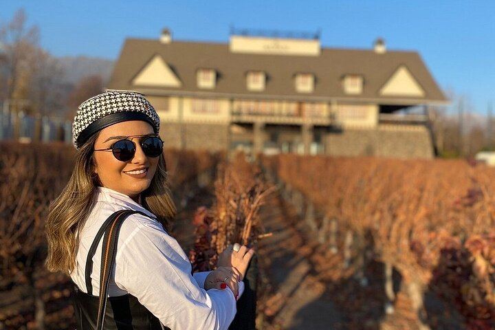 Alyan Vineyard Sunset Experience: Six Wines, Tasting Snacks and Rustic Dinner (6/12)