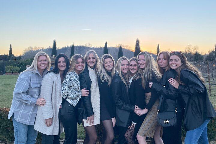 Afternoon Chianti Wine Tasting by Coach from Florence: 2 Family Wineries, Panoramic Views (3/7)