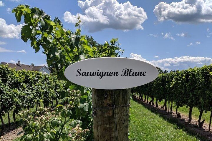 Sunset Niagara-on-the-Lake Small Group Wine Tour with 3-Course Dinner at Eighty Eight (10/12)
