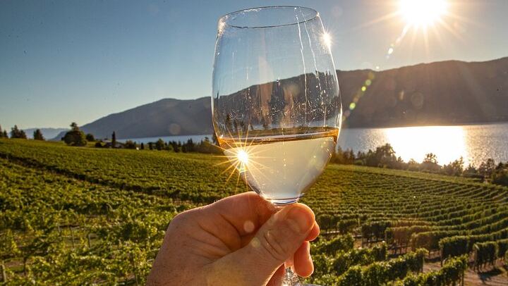 Sunset Sip Wine Tour by VIVID Tours: 3 Wineries and Winery Restaurant Dinner Reservation (3/8)