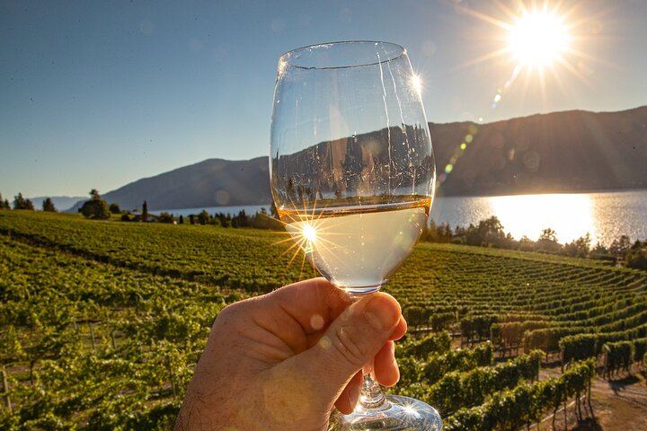 Sunset Sip Wine Tour by VIVID Tours: 3 Wineries and Winery Restaurant Dinner Reservation (3/8)