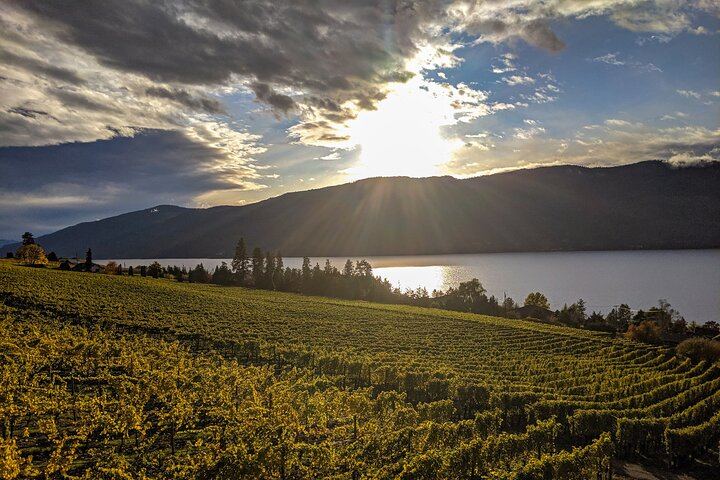 Sunset Sip Wine Tour by VIVID Tours: 3 Wineries and Winery Restaurant Dinner Reservation (8/8)