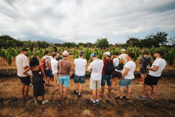 Etna Urban Winery at Sunset: Self-Guided Vineyard Trail, 1790 Cellar and Dinner