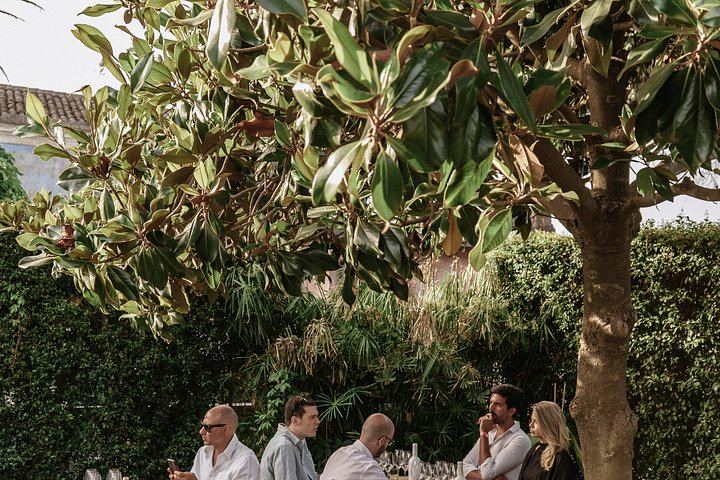 Etna Urban Winery at Sunset: Self-Guided Vineyard Trail, 1790 Cellar and Dinner (6/12)