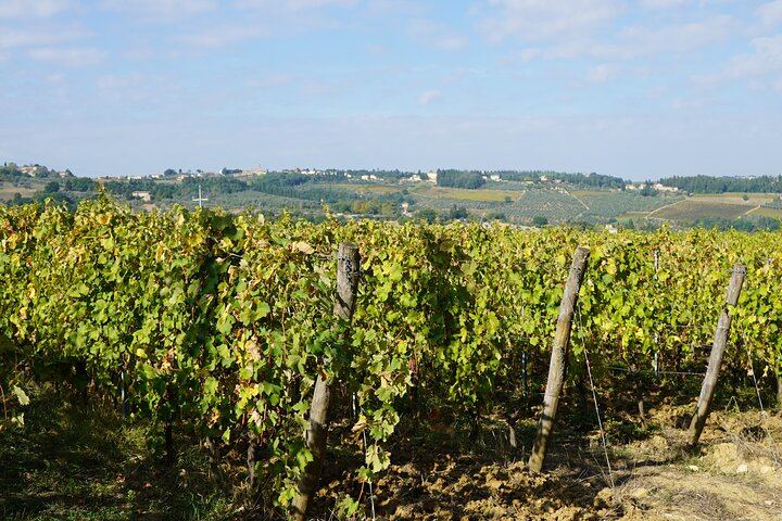Grape Tours Chianti Day from Florence: 2 Organic Wineries, Dario Cecchini Lunch (1/7)