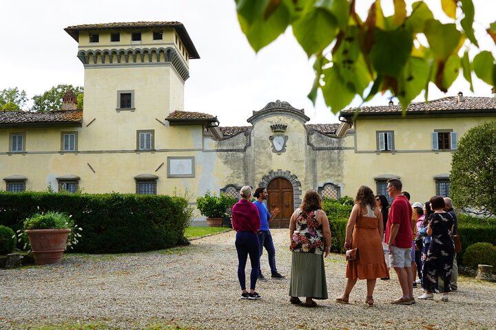 Grape Tours Chianti Day from Florence: 2 Organic Wineries, Dario Cecchini Lunch (6/7)