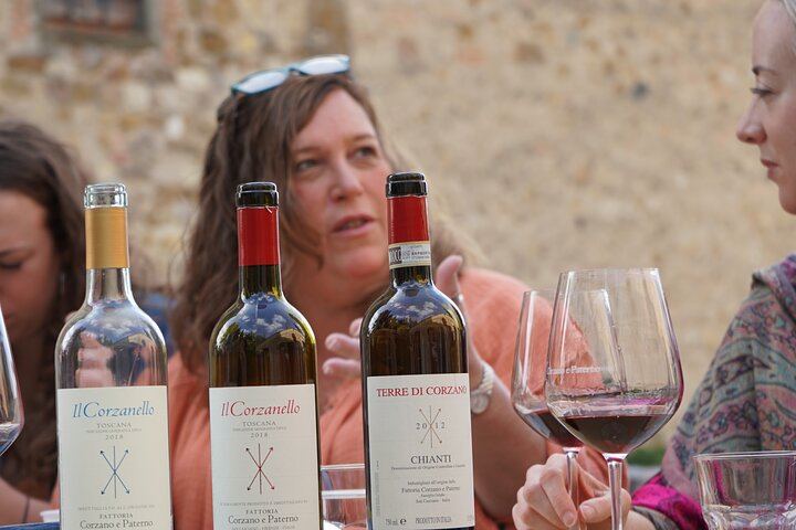 Grape Tours Chianti Day from Florence: 2 Organic Wineries, Dario Cecchini Lunch (3/7)