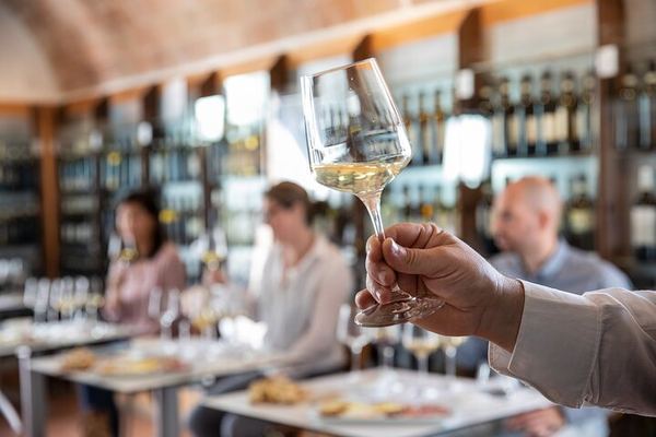 Five-Wine Tasting with Food Pairings at Rocca di Montestaffoli, San Gimignano