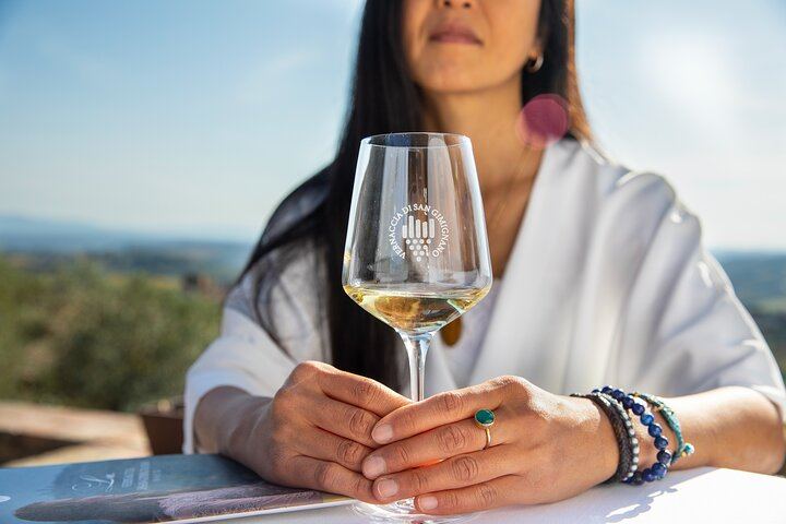 Five-Wine Tasting with Food Pairings at Rocca di Montestaffoli, San Gimignano (2/6)
