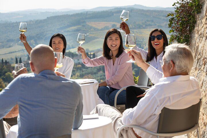 Five-Wine Tasting with Food Pairings at Rocca di Montestaffoli, San Gimignano (3/6)